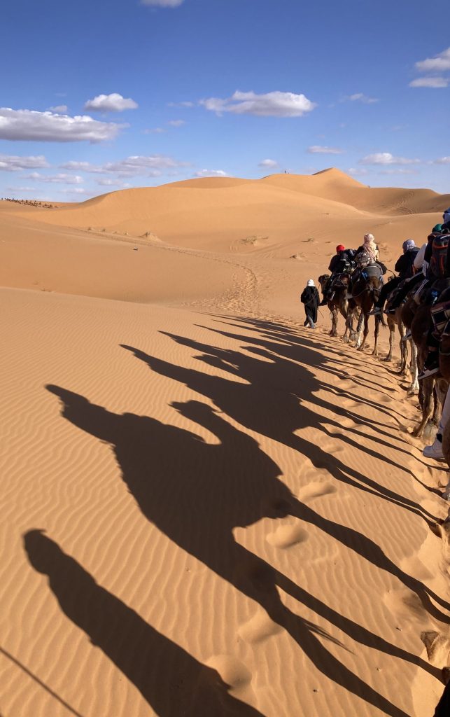 Camel caravan in the Sahara Desert with long shadows across the sandy dunes on the left