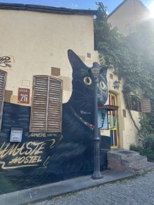 Mural of a black cat on a yellow background at Namaste hostel, Tbilisi, Georgia